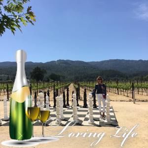 Meet your Posher, Janet